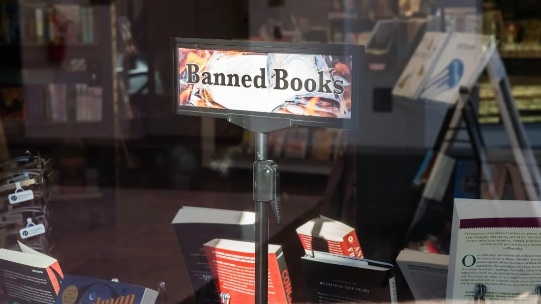 Visual for this record: A blocked merger turned on advances, not bookstore shelves
