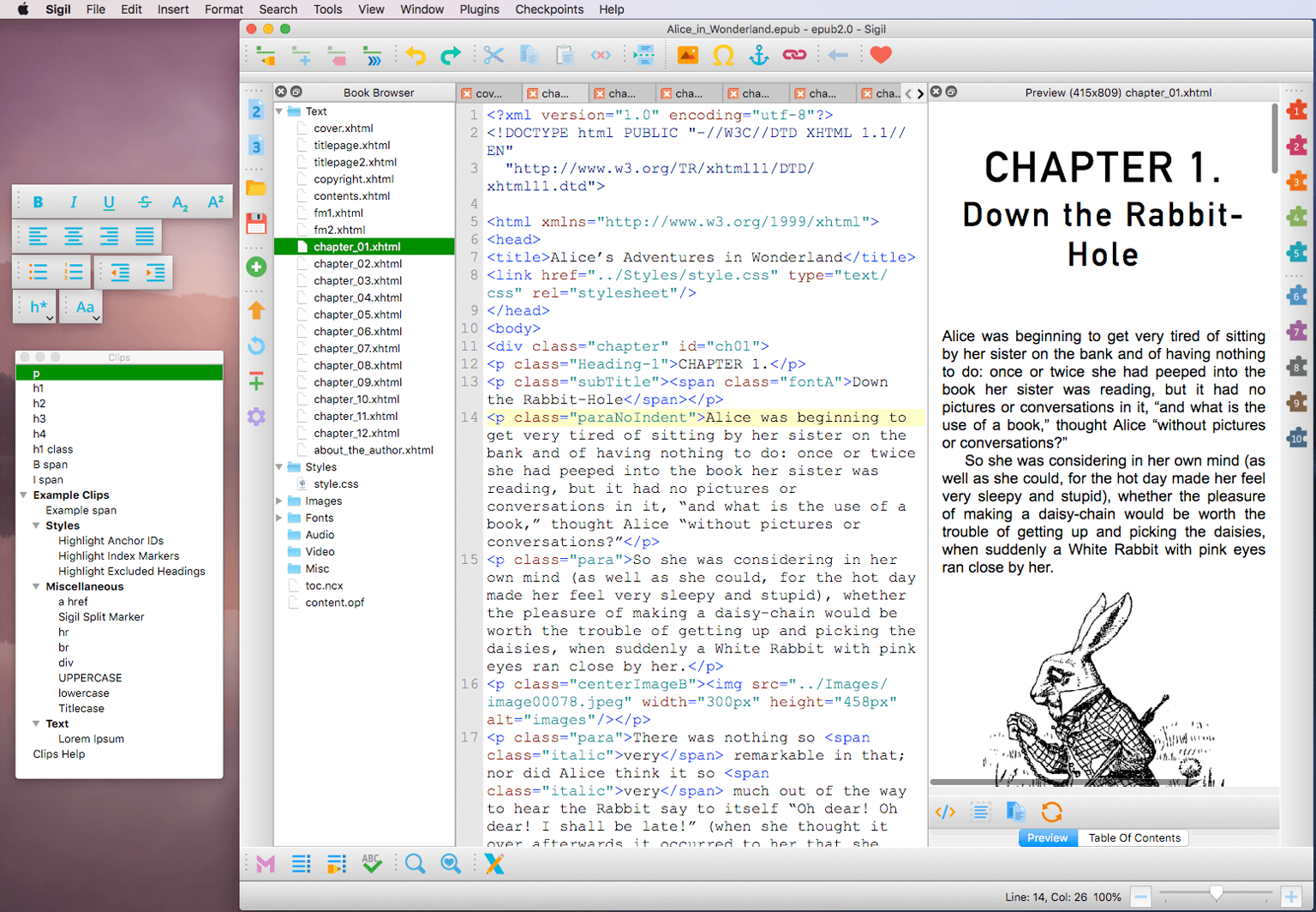 Chapter Ledger